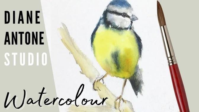Watercolor Bluetit Painting - How to Paint Realistic Birds - Easy Loose Watercolor Style Tutorial