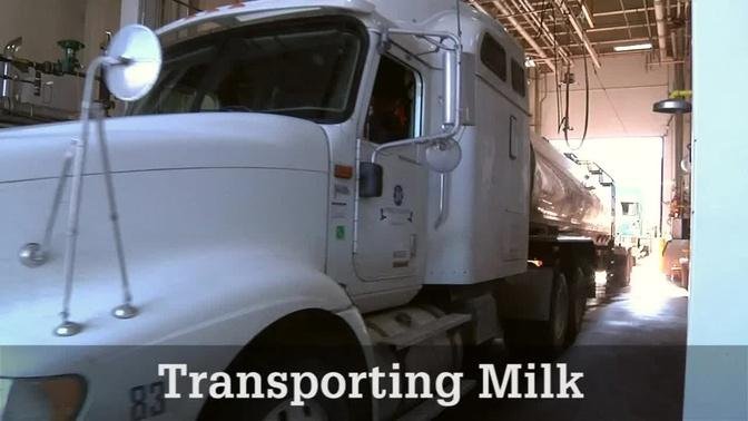 Transporting Milk