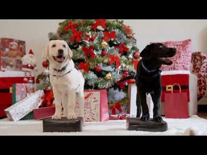 SA Guide Dogs Association 12 Days of Christmas 2023.
