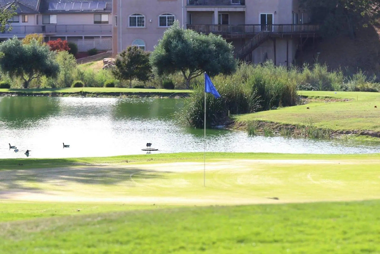 Senior golfers are forced to drown in their own tears on the 19th hole