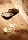 Fan Wine Cellar