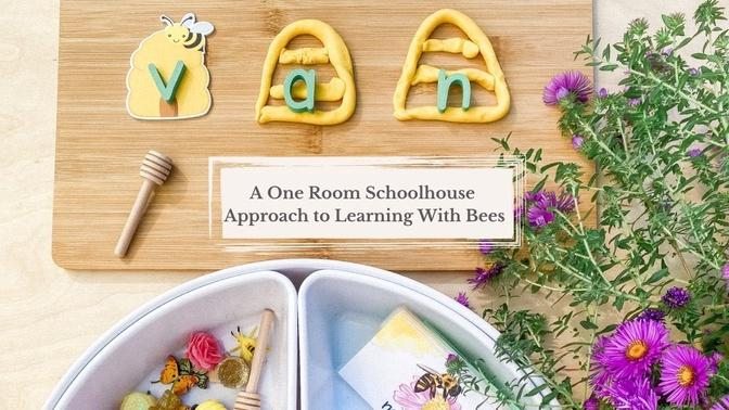 A One Room Schoolhouse Approach to Learning With Bees