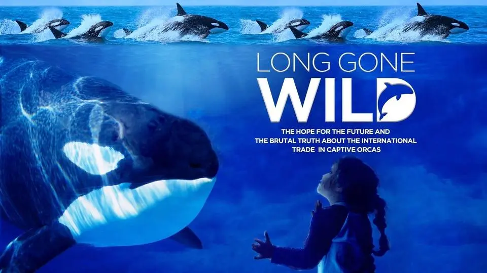 Long Gone Wild