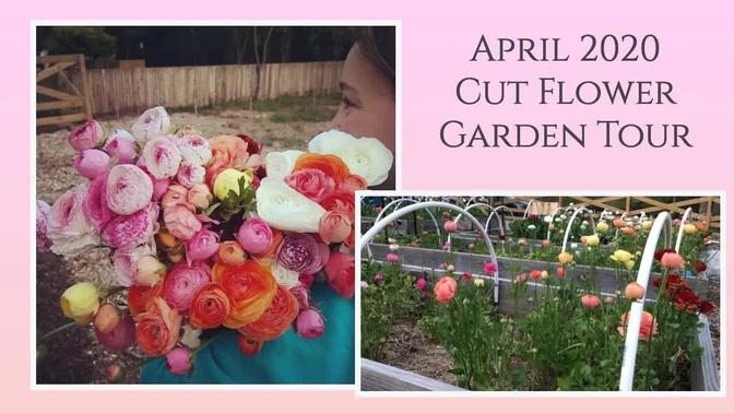 Cut Flower Garden Tour April 2020