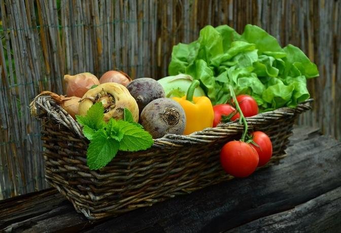 素食和素食主義：如何確保營養均衡