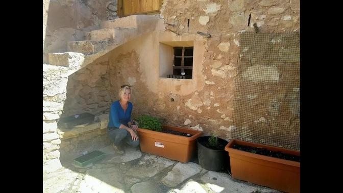 17. Off Grid Finca - Self sufficiency - April 2021 update - Growing our own food