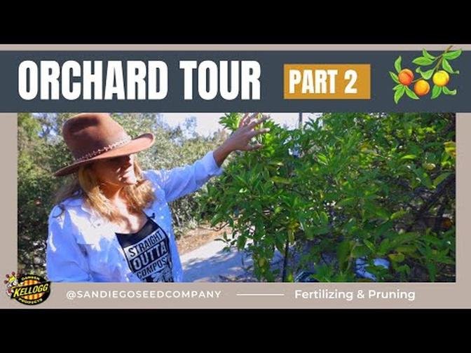 Fertilizing & Pruning Fruit Trees: Orchard Tour - Part 2