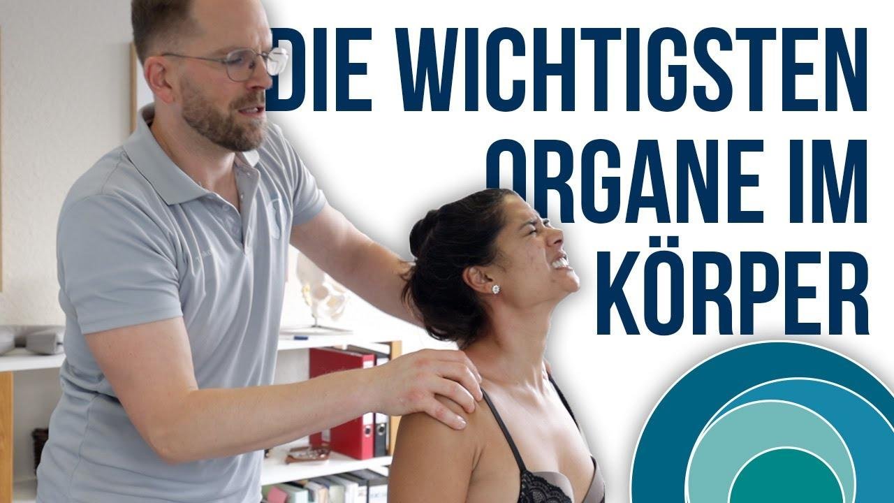 Chiropraktik | Die wichtigsten Organe im Körper | mit Melanie | deutsch | Teil 2 | #167