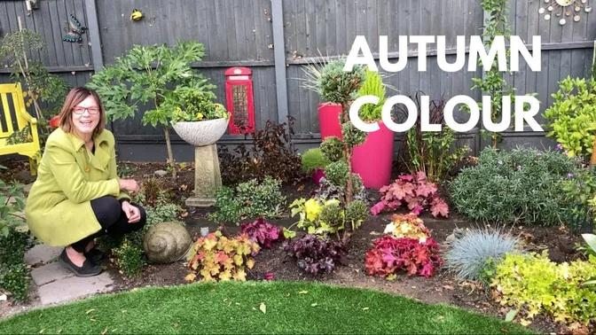 Planting A Vibrant & Colourful Autumn Display 🍁🌺