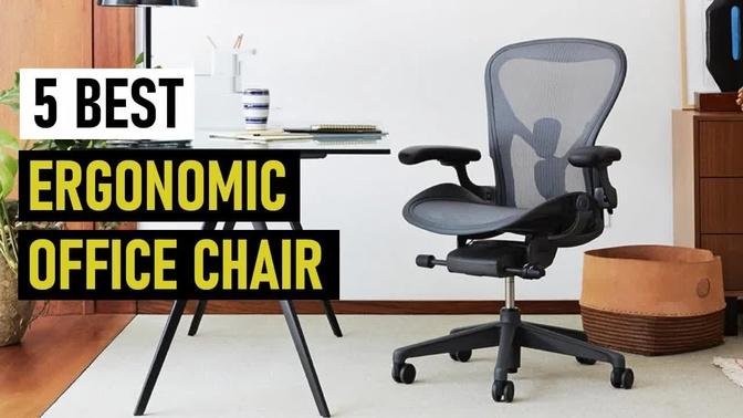 5 Best Ergonomic Chairs In 2021 | Home Office Ergonomic Chairs