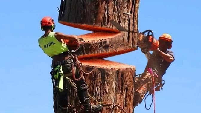 10 Dangerous Fastest Skill Tree Felling With Chainsaw, Amazing Logging Truck & Wood Sawmill Machines