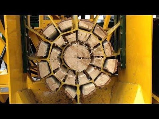 Fastest Firewood Processor in Action Strong Hydraulic Wood Splitter Videos AZTech