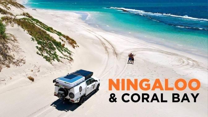 NINGALOO REEF, AUSTRALIA - More beautiful than GREAT BARRIER? Road Trip & Snorkeling from CORAL BAY