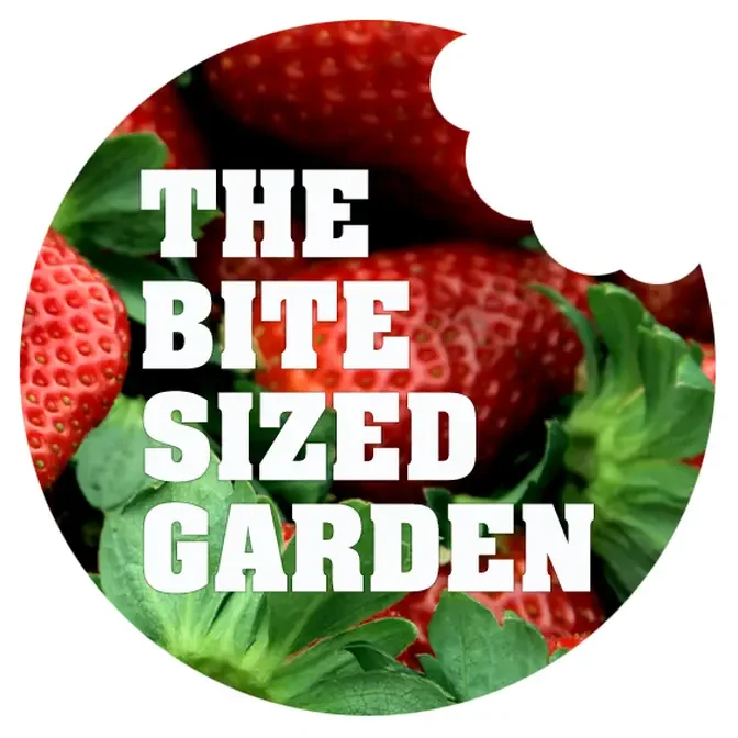 The Bite Sized Garden