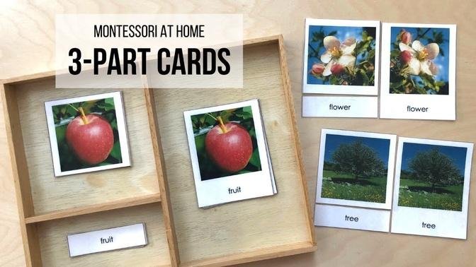 MONTESSORI AT HOME: 8 Ways to Use Three-Part Cards!