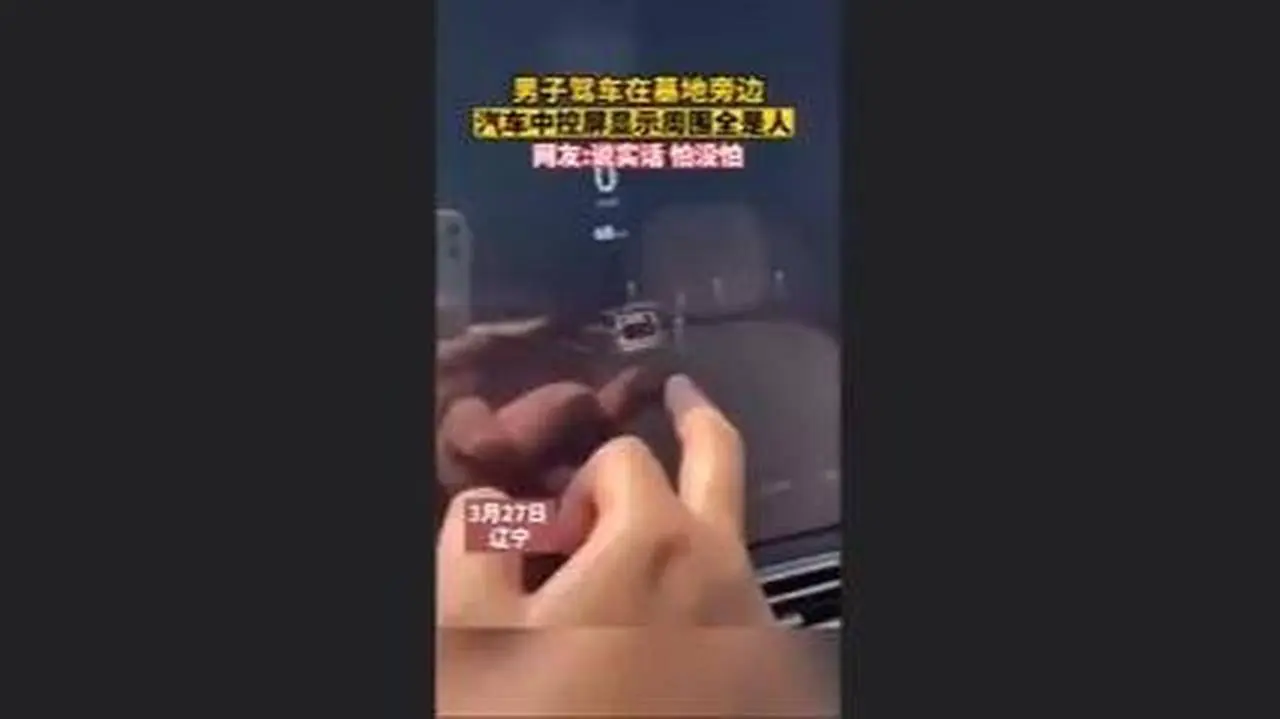 3月27日，辽宁沈阳。男子开车至空无一人的陵园祭祖，却发现汽车雷达显示全是人。
