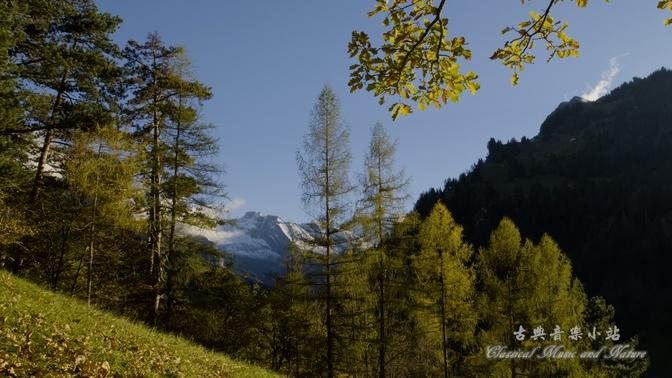 Vivaldi: Spring (The Four Seasons). Swiss Alps Beauty 韋瓦第：春（四季）瑞士阿爾卑斯山美景！
