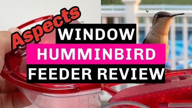 Review & Unboxing (Actual Footage of Hummingbirds at the end!)