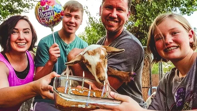 Happy Birthday Willow! (baby goat pamper day)