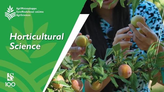 Watch this video if you want to study Horticultural Science | Stellenbosch University