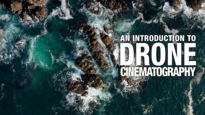 An Introduction To Drone Cinematography | Videos | Pet Docs | Gan Jing ...