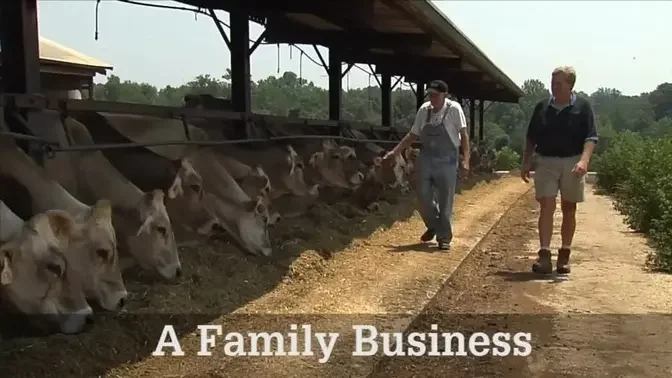 A Family Business
