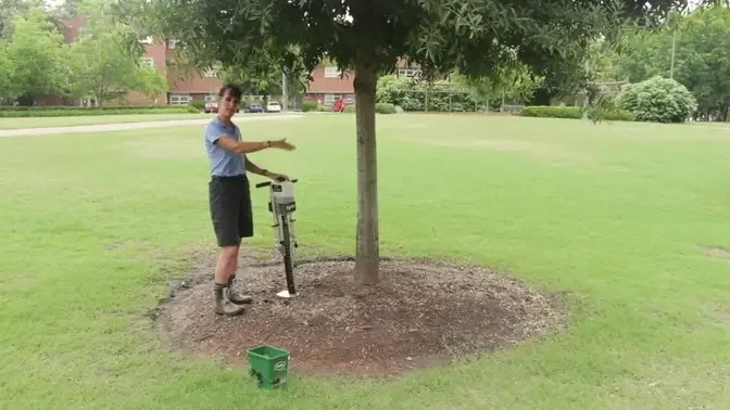 Fertilizing Trees: Methods Demonstration