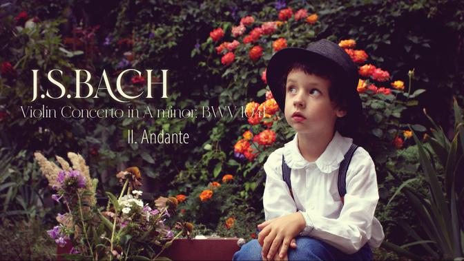J.S.BACH ♪  Violin Concerto in A minor, BWV 1041. II. Andante