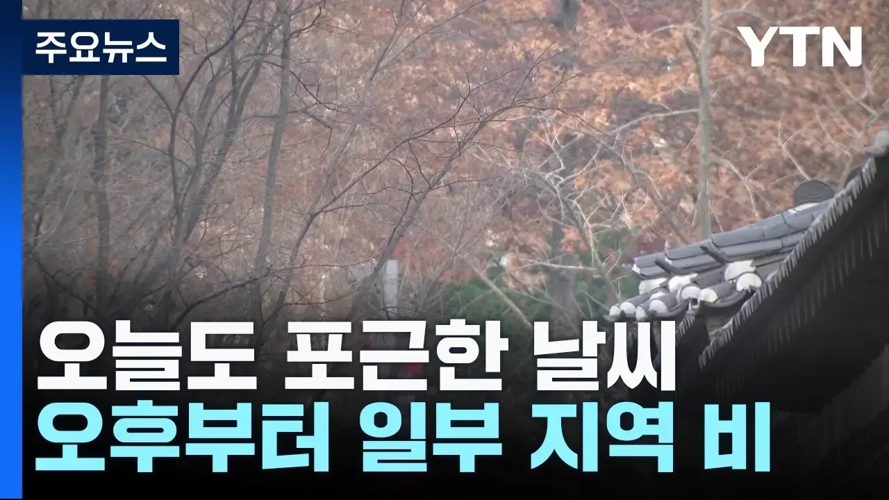 봄처럼 포근한 휴일, 미세먼지 주의...동해안·제주·전남 비 / YTN