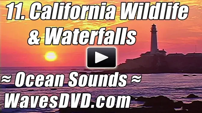 11 - CALIFORNIA Coastal Wildlife & Waterfalls - WAVES DVD Nature Video relax ocean sounds best beach