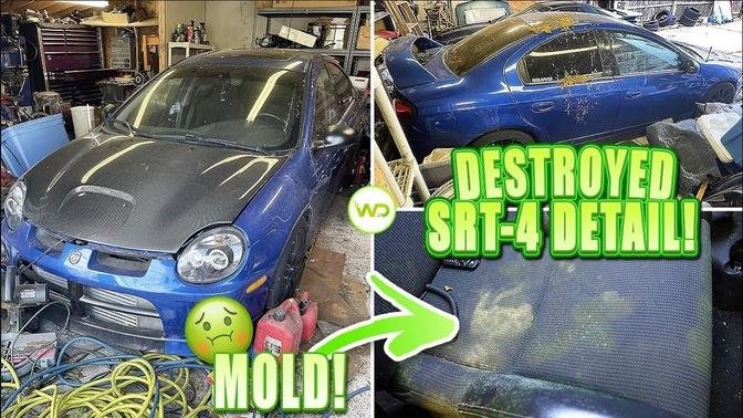 Deep Cleaning The Muddiest BIOHAZARD Porsche EVER! | Satisfying Flood Car Detail Transformation!