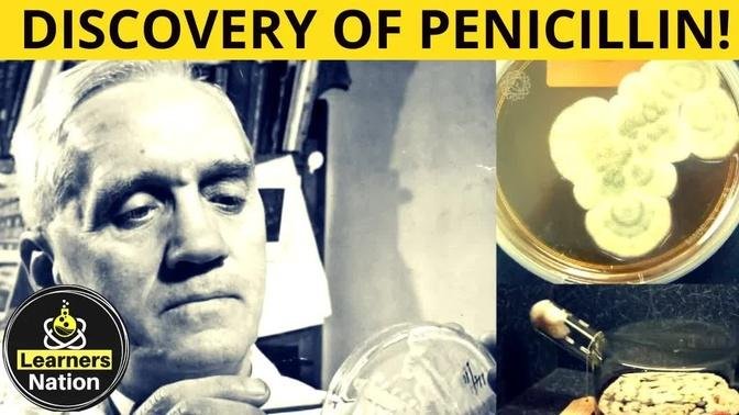 The accidental discovery of Penicillin Alexander Fleming