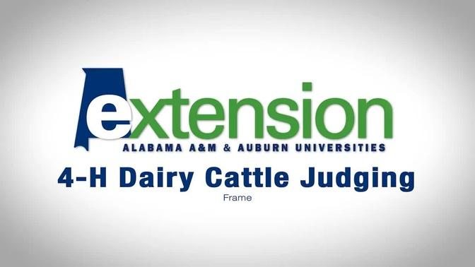 4-H Dairy Cattle Judging: Frame