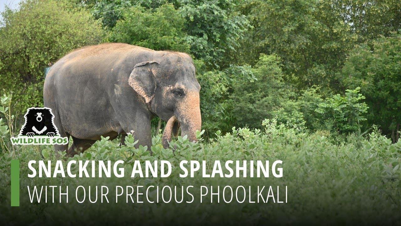 Snacking And Splashing With Our Precious Phoolkali!