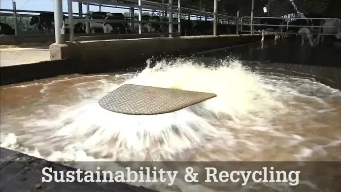Sustainability and Recycling