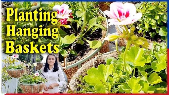 How To Plant Flower Hanging Baskets | Small Garden Space Planting Tips | Gardening UK Manila London