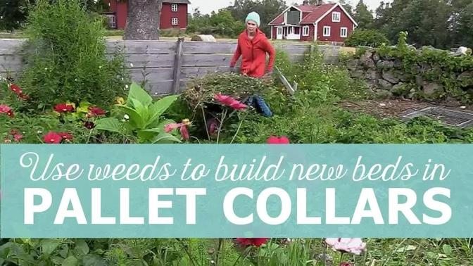 Use weeds to build raised beds in pallet collars