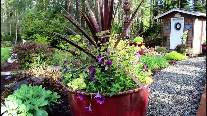 How to plant a Sun loving container with warm colors!/Garden Style nw