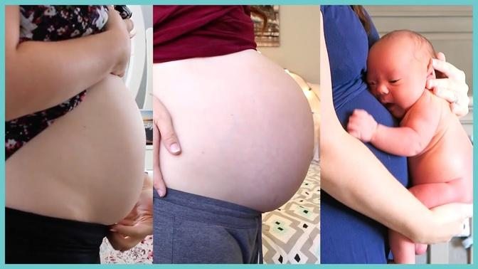 WATCH MY BELLY GROW! (again!) - 40 Wks Pregnant Belly Progression