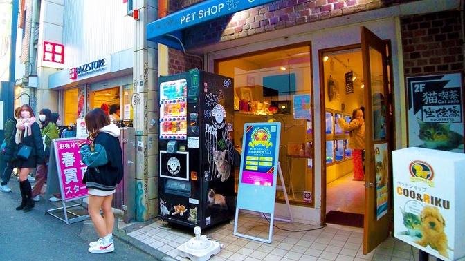 Shimokitazawa 🐶🍻Enjoy the fashionable town in Tokyo ♪ 💖 4K ASMR non-stop 1 hour 02 minutes