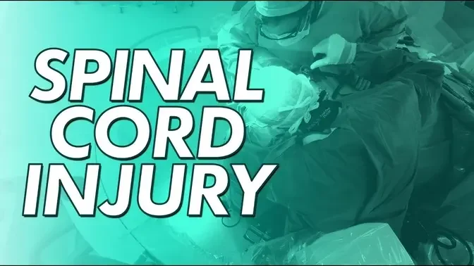 Spinal Cord Injury - diagnosis, treatment, recovery.