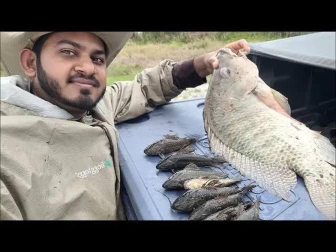 Catching Hassa & Tilapia (Catch, Clean, Cook) Hassa Curry (Part 3 Of 3) Guyanese Fishing In Florida