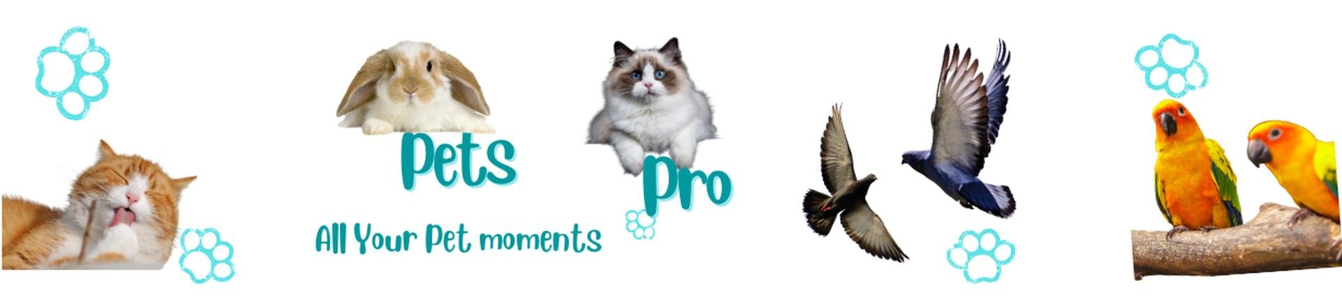 Pets Pro
