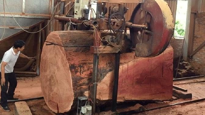 Amazing Biggest Wood Sawmill Work - Extreme Machines Sawmill Cutting Wood Simply
