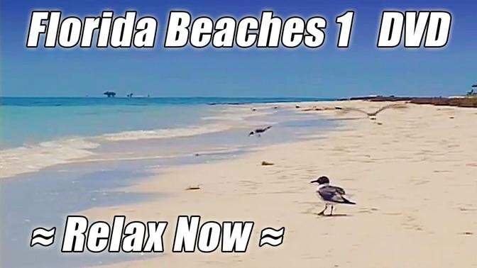 FLORIDA BEACHES DVD + CARIBBEAN DAYDREAMS DVD - PREVIEW OCEAN WAVES Sounds Relax Now