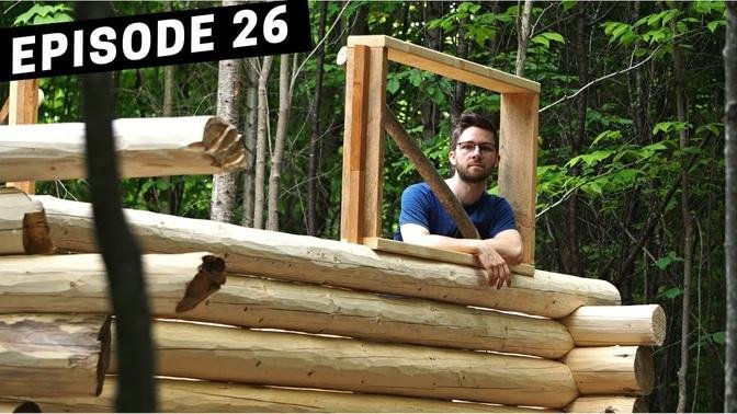 Building A Log Cabin | Ep. 26 | The cabin is taking shape - 3rd window frame | Planting wild garden