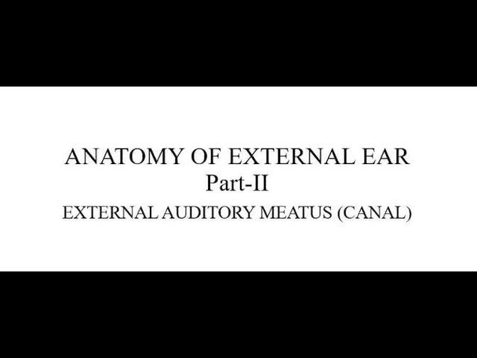 ANATOMY OF EXTERNAL EAR (PART-II)