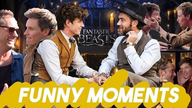 EDDIE REDMAYNE AND JUDE LAW CANT STOP LAUGHING | Fantastic Beasts Interviews Funny Moments